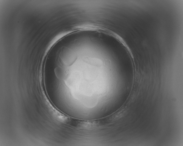X0000081301195200701111416