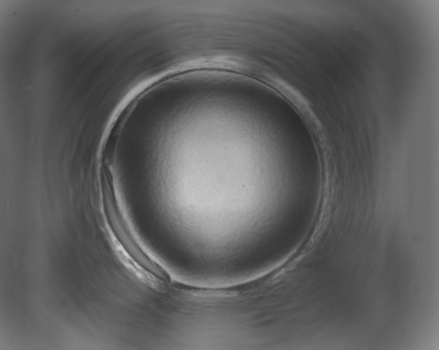 X0000081301200200701111416