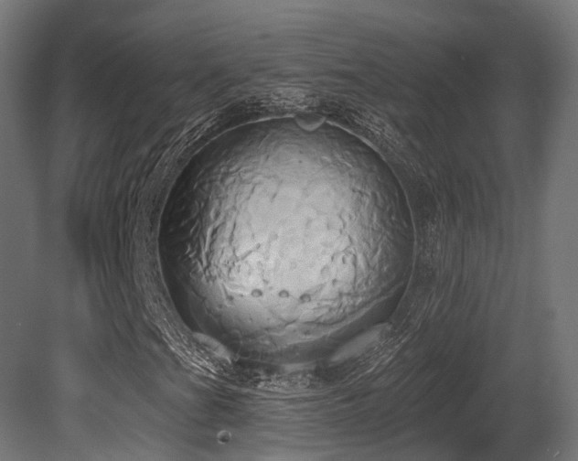 X0000081301201200701111415