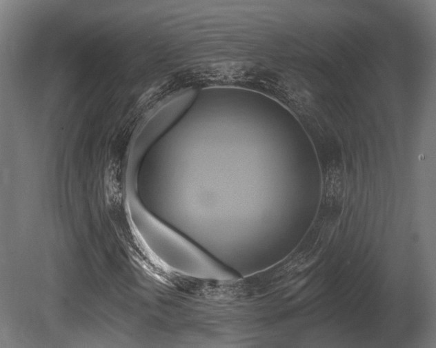 X0000081301202200701111416