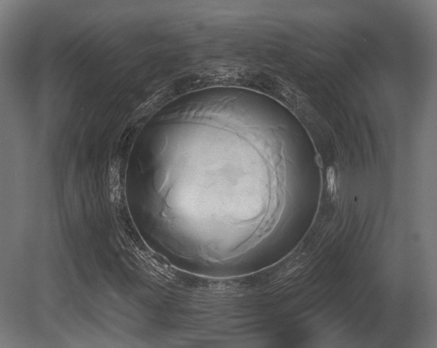 X0000081301203200701111416