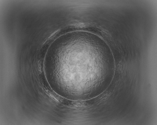 X0000081301205200701111416