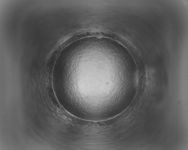 X0000081301207200701111416