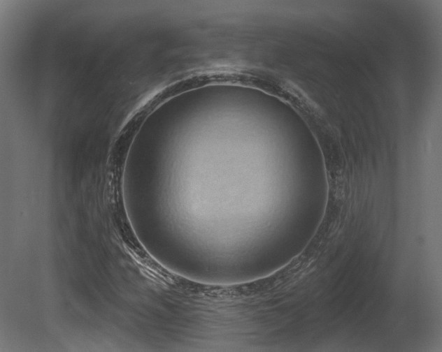 X0000081301208200701111416