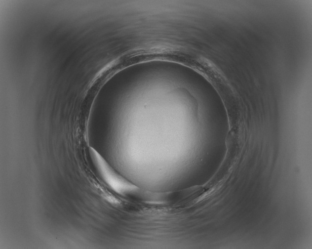 X0000081301210200701111416