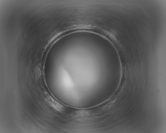 X0000081301212200701111416