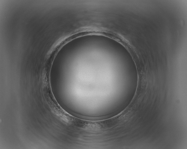 X0000081301215200701111416