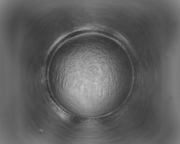 X0000081301216200701111416