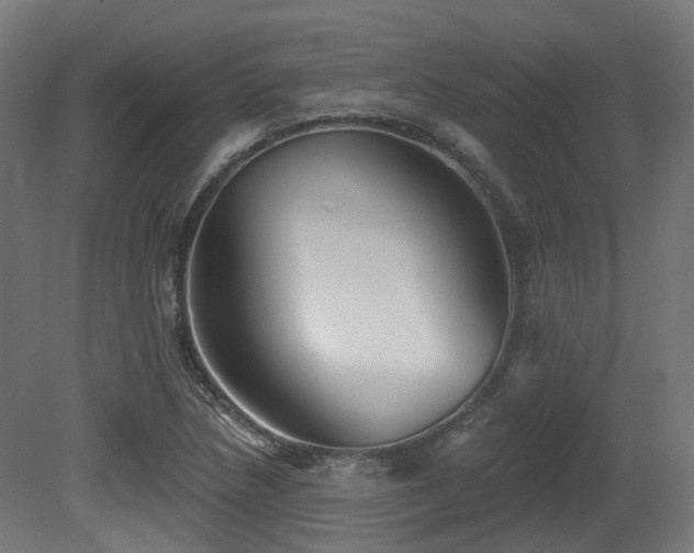 X0000081301218200701111416