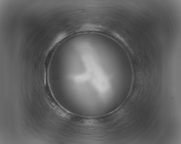 X0000081301219200701111416