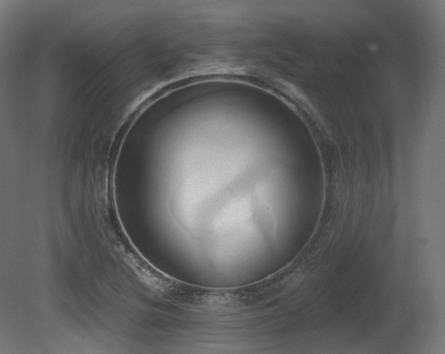 X0000081301220200701111416