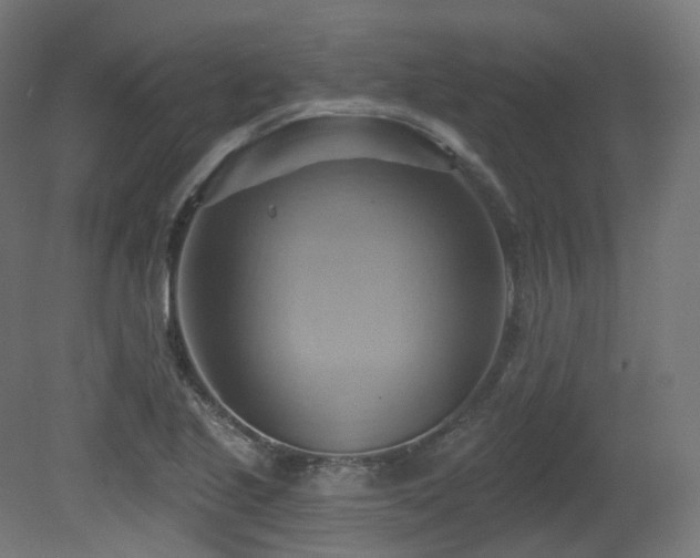 X0000081301221200701111416