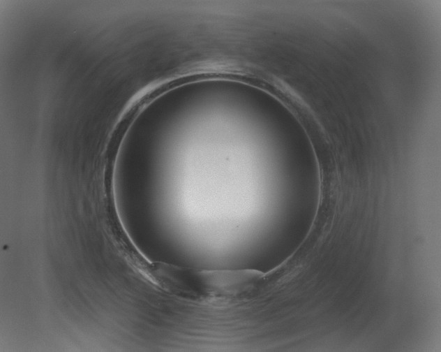 X0000081301222200701111416