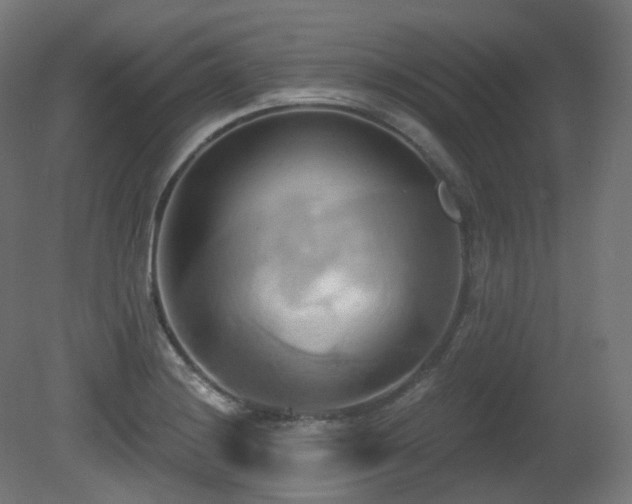 X0000081301228200701111416