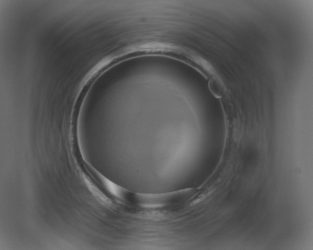 X0000081301229200701111416