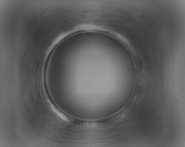 X0000081301231200701111416