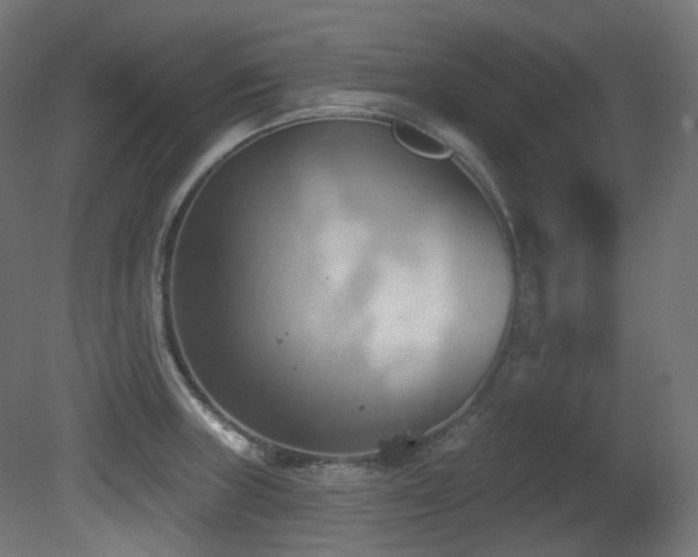 X0000081301235200701111416