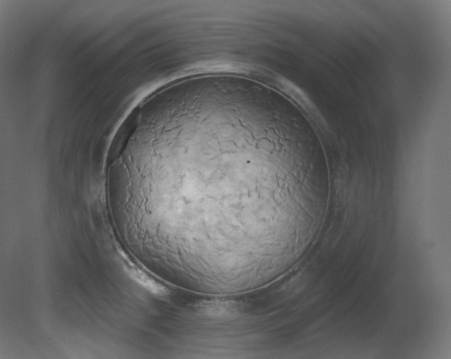 X0000081301236200701111416