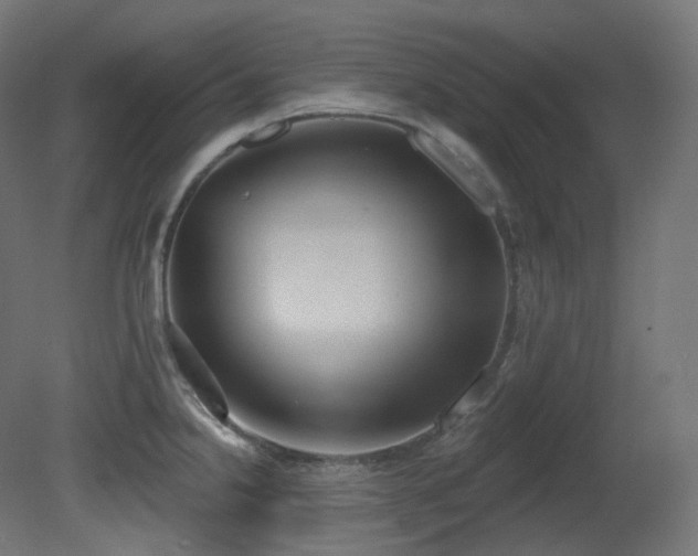 X0000081301238200701111416
