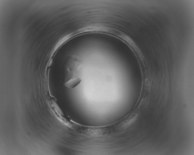 X0000081301242200701111416