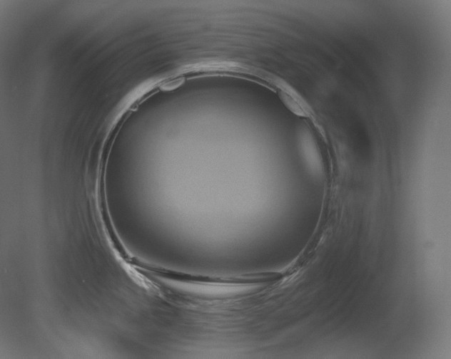 X0000081301245200701111416