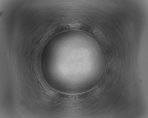 X0000081301249200701111415