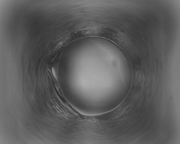 X0000081301250200701111415