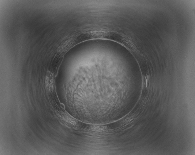 X0000081301251200701111415