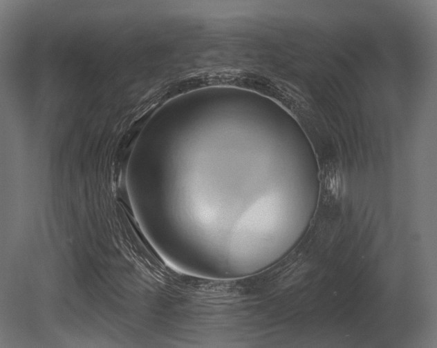 X0000081301252200701111415