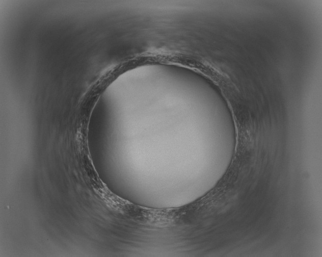 X0000081301254200701111415