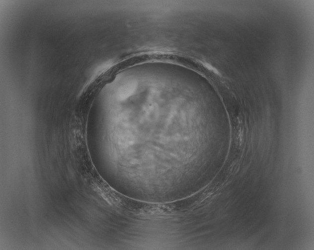 X0000081301255200701111415