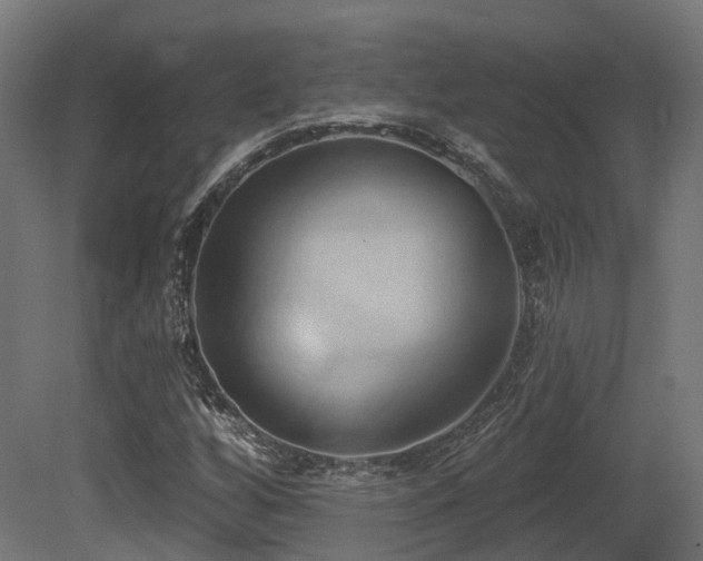 X0000081301256200701111415