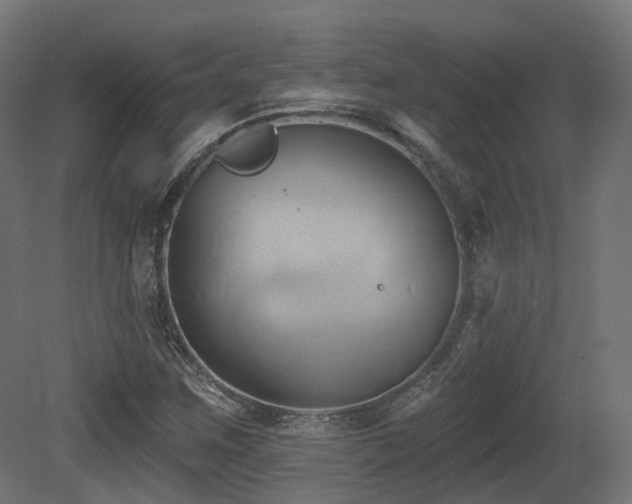 X0000081301259200701111415