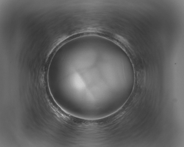 X0000081301260200701111415