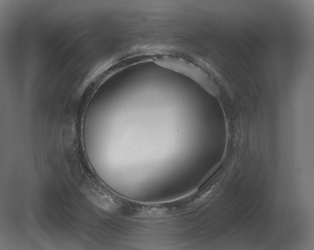 X0000081301261200701111415