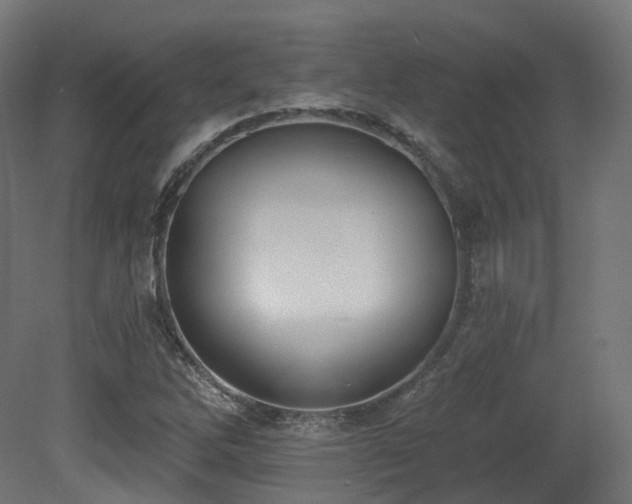 X0000081301262200701111415