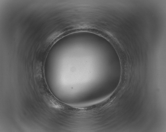 X0000081301265200701111415