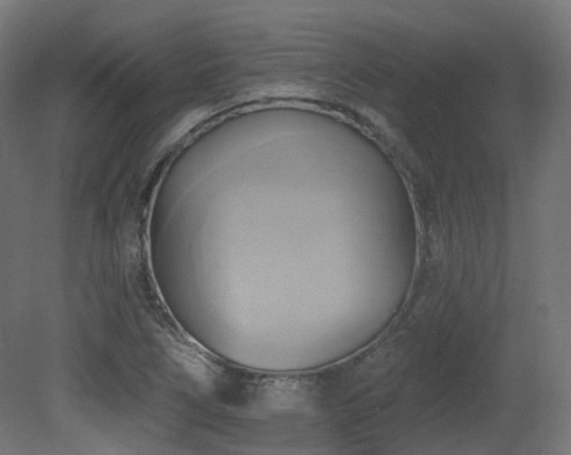 X0000081301266200701111415