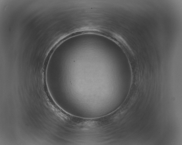 X0000081301268200701111415