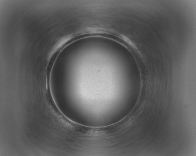 X0000081301269200701111415