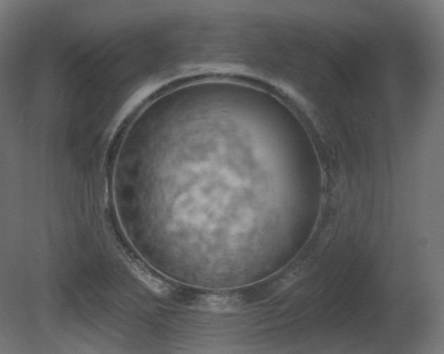 X0000081301271200701111415
