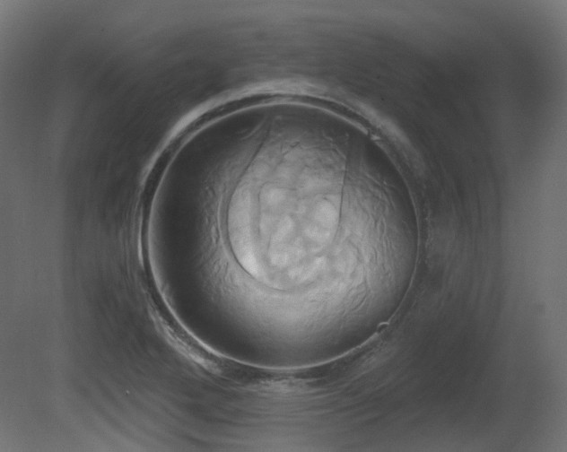 X0000081301272200701111415
