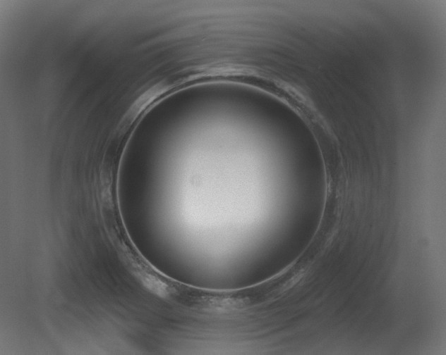 X0000081301273200701111415
