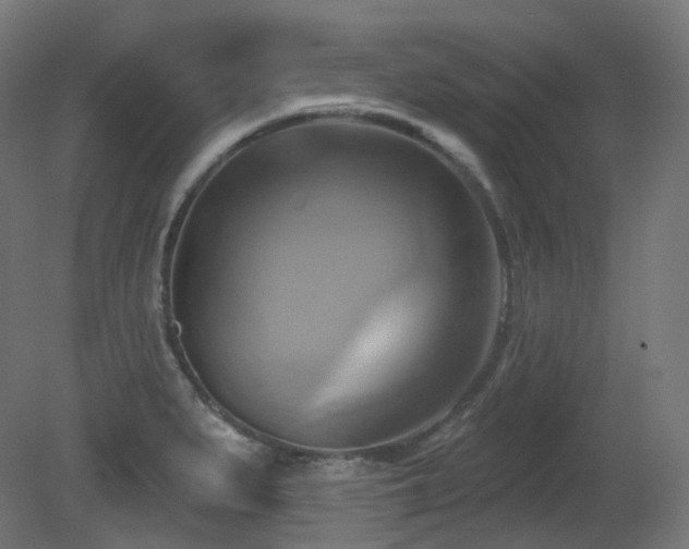 X0000081301279200701111415