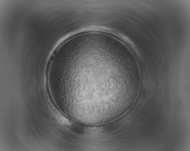 X0000081301280200701111415