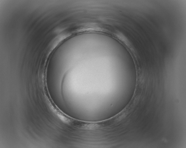 X0000081301282200701111415