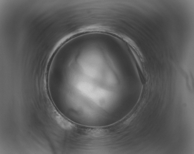 X0000081301288200701111415