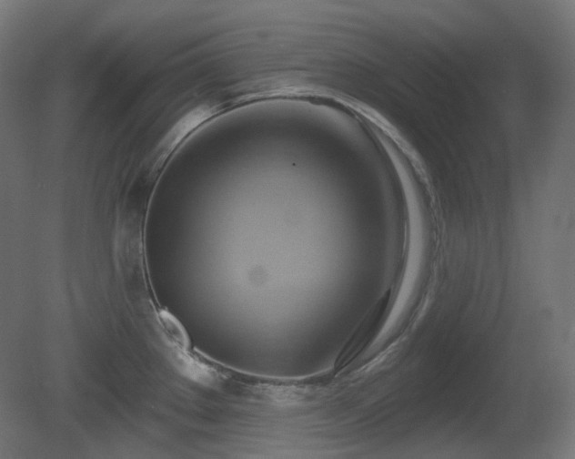 X0000081301289200701111415