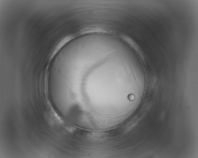 X0000081301290200701111415