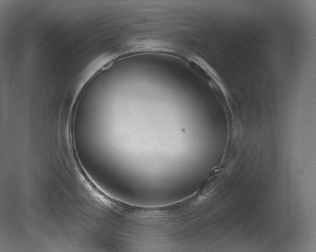 X0000081301293200701111415